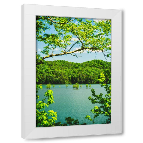 Ocoee Summer 2 Vertical White Modern Wood Framed Art Print by Malone, Will
