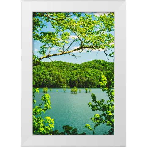 Ocoee Summer 2 Vertical White Modern Wood Framed Art Print by Malone, Will