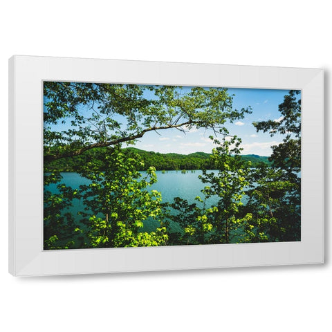 Ocoee Summer 3 White Modern Wood Framed Art Print by Malone, Will
