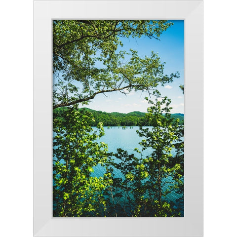 Ocoee Summer 3 Vertical White Modern Wood Framed Art Print by Malone, Will