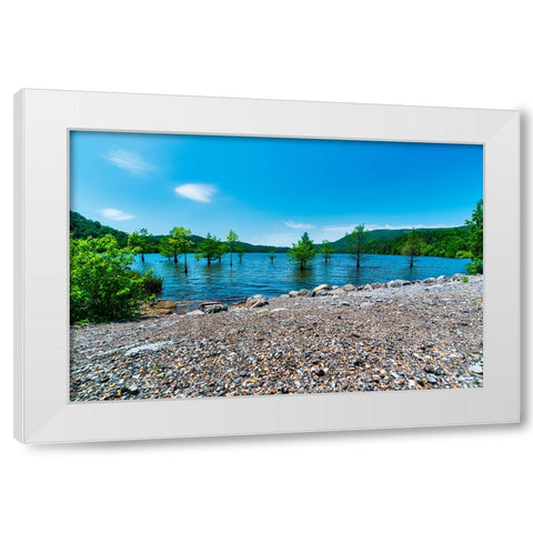 Ocoee Summer 5 White Modern Wood Framed Art Print by Malone, Will