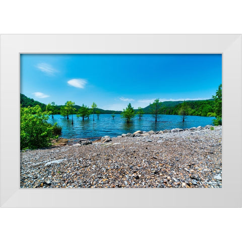 Ocoee Summer 5 White Modern Wood Framed Art Print by Malone, Will