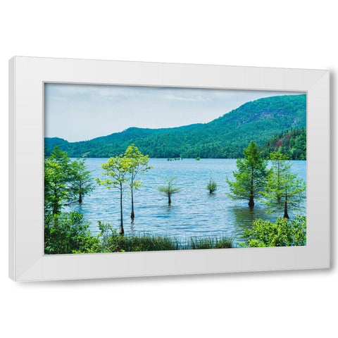 Ocoee Summer 6 White Modern Wood Framed Art Print by Malone, Will