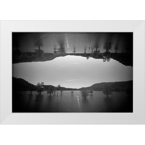Ocoee 1 White Modern Wood Framed Art Print by Malone, Will