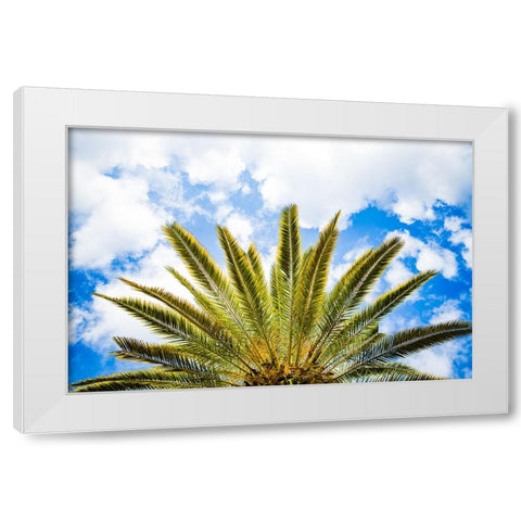 Palm Fan White Modern Wood Framed Art Print by Malone, Will