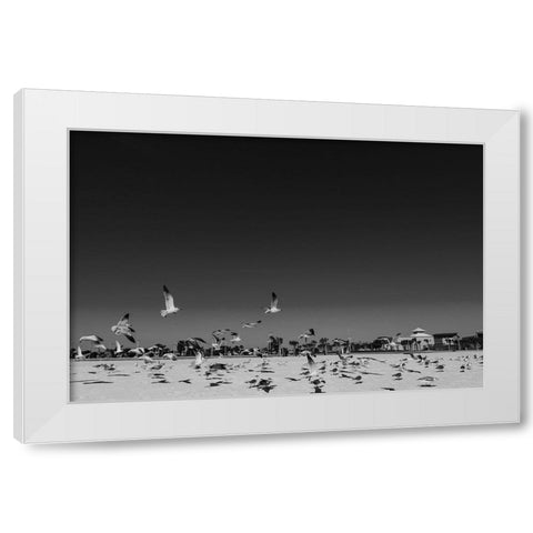 Seagulls 3 White Modern Wood Framed Art Print by Malone, Will