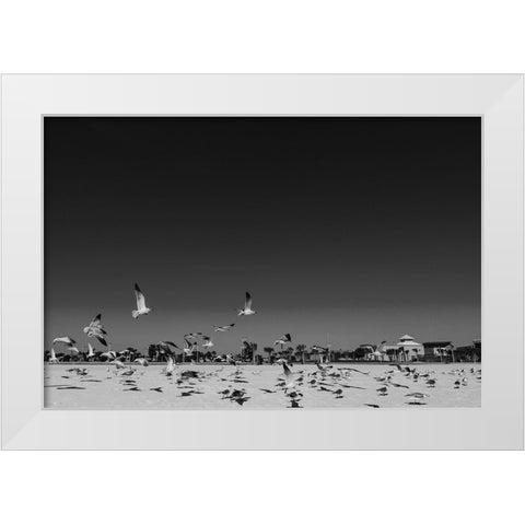 Seagulls 3 White Modern Wood Framed Art Print by Malone, Will