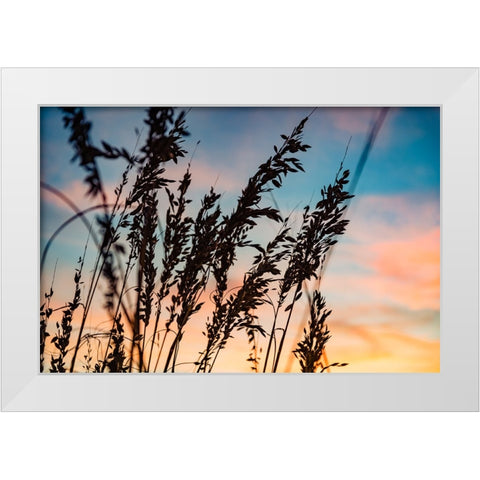 Shadow Grass White Modern Wood Framed Art Print by Malone, Will