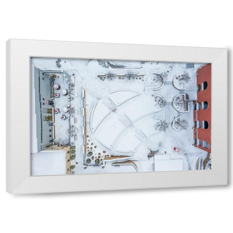 Snow Wren White Modern Wood Framed Art Print by Malone, Will