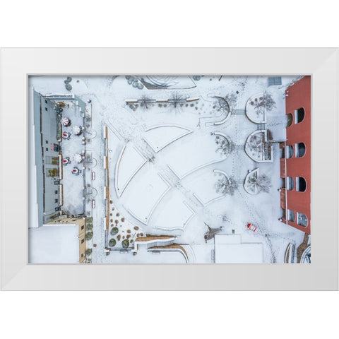 Snow Wren White Modern Wood Framed Art Print by Malone, Will