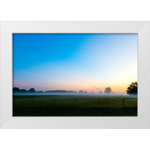 Sunrise Fog White Modern Wood Framed Art Print by Malone, Will