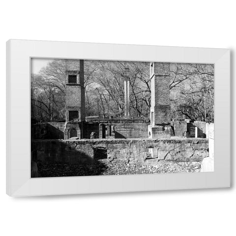 Tanglewood 1 White Modern Wood Framed Art Print by Malone, Will