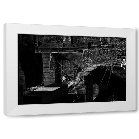 Tanglewood 2 White Modern Wood Framed Art Print by Malone, Will