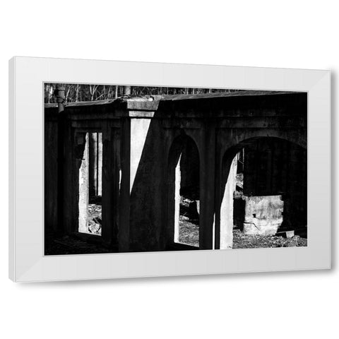 Tanglewood 3 White Modern Wood Framed Art Print by Malone, Will