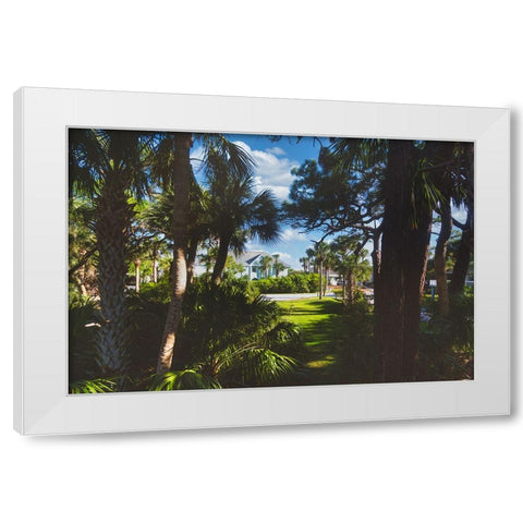 Tarpon White Modern Wood Framed Art Print by Malone, Will