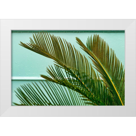 Teal Fern 2 White Modern Wood Framed Art Print by Malone, Will