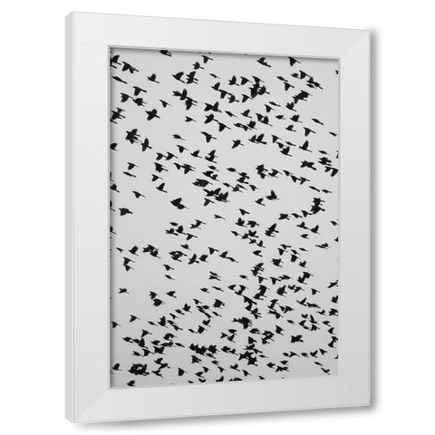 The Birds 2 White Modern Wood Framed Art Print by Malone, Will