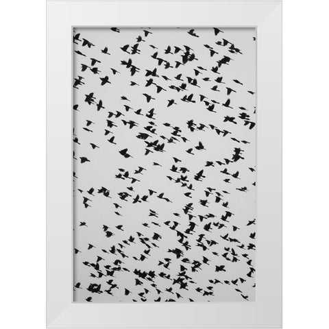 The Birds 2 White Modern Wood Framed Art Print by Malone, Will