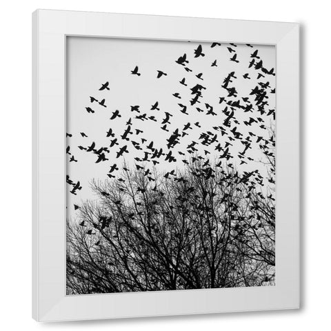 The Birds 3 White Modern Wood Framed Art Print by Malone, Will