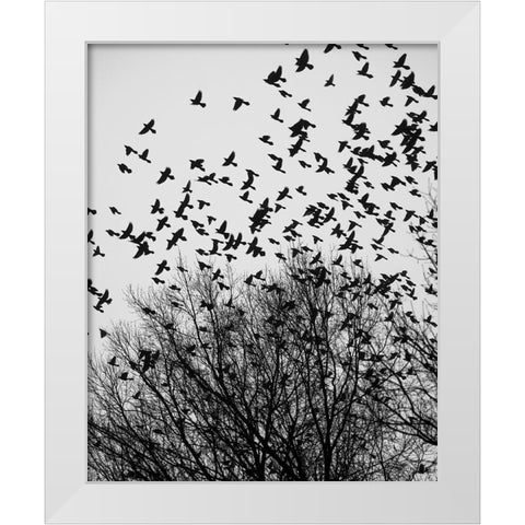 The Birds 3 White Modern Wood Framed Art Print by Malone, Will