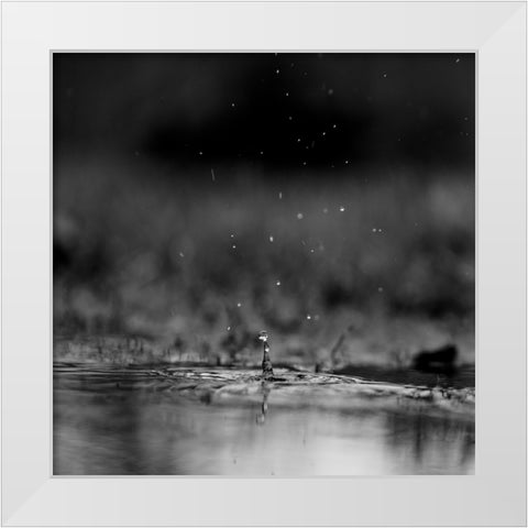 The Drop White Modern Wood Framed Art Print by Malone, Will