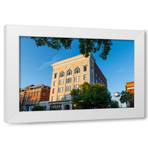 Thomasville Morning White Modern Wood Framed Art Print by Malone, Will