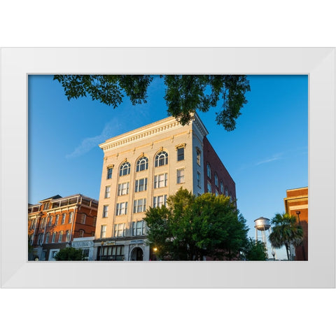 Thomasville Morning White Modern Wood Framed Art Print by Malone, Will