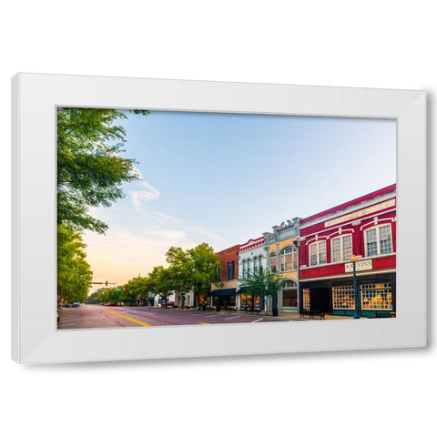 Thomasville Morning 3 White Modern Wood Framed Art Print by Malone, Will