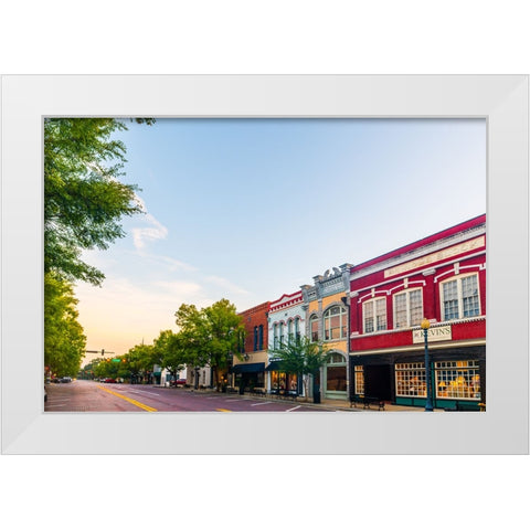 Thomasville Morning 3 White Modern Wood Framed Art Print by Malone, Will
