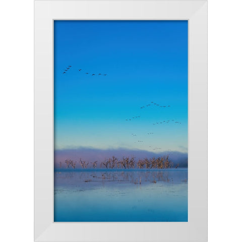 Tired Creek Fog White Modern Wood Framed Art Print by Malone, Will