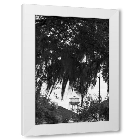 Tree Beard White Modern Wood Framed Art Print by Malone, Will