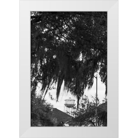 Tree Beard White Modern Wood Framed Art Print by Malone, Will