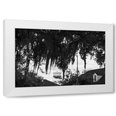 Tree Beard 2 White Modern Wood Framed Art Print by Malone, Will