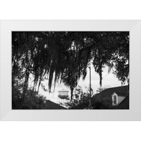 Tree Beard 2 White Modern Wood Framed Art Print by Malone, Will