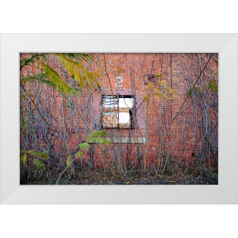 Two Web White Modern Wood Framed Art Print by Malone, Will
