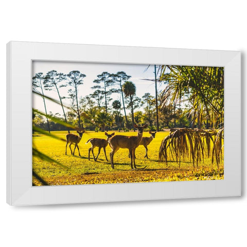 Wassup White Modern Wood Framed Art Print by Malone, Will
