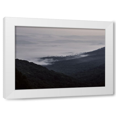 Wave of Fog White Modern Wood Framed Art Print by Malone, Will