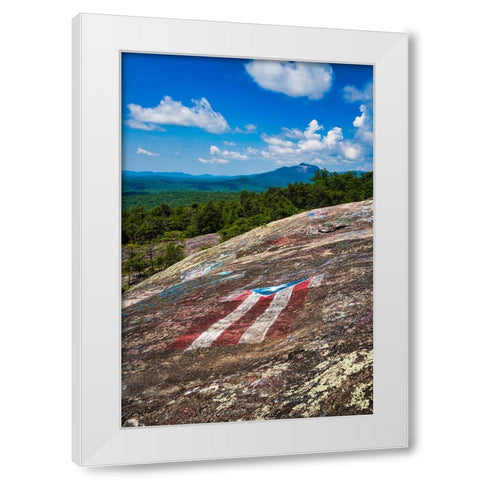 American Bald White Modern Wood Framed Art Print by Malone, Will