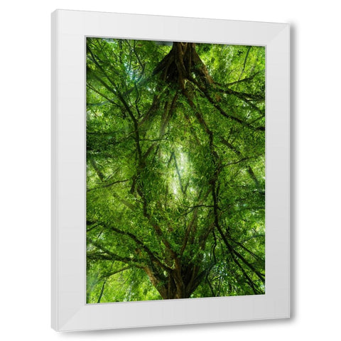 Grand Tree White Modern Wood Framed Art Print by Malone, Will