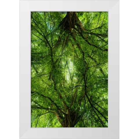 Grand Tree White Modern Wood Framed Art Print by Malone, Will