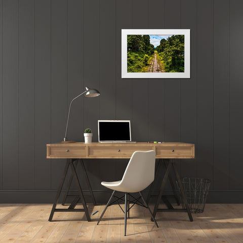 Overgrowth 2 White Modern Wood Framed Art Print by Malone, Will