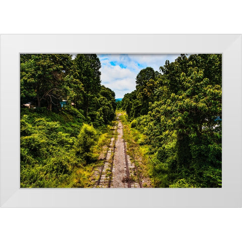 Overgrowth 2 White Modern Wood Framed Art Print by Malone, Will