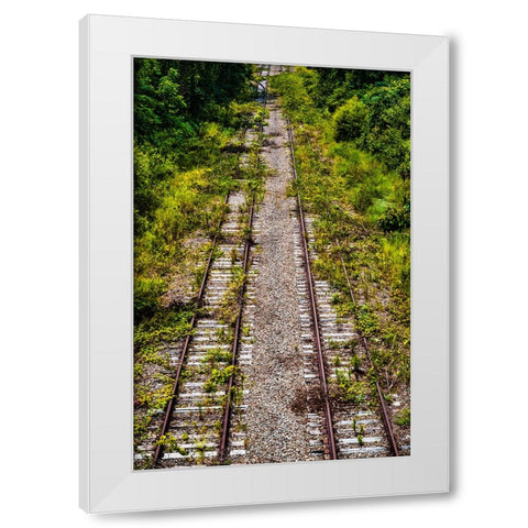 Overgrowth 4 White Modern Wood Framed Art Print by Malone, Will