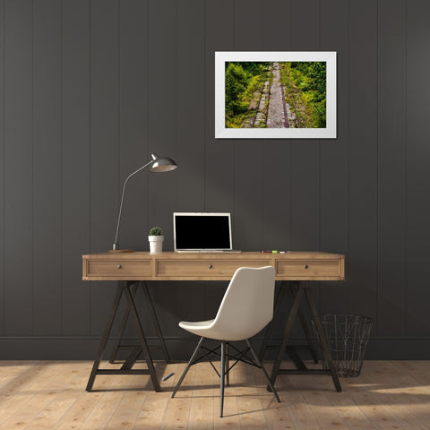 Overgrowth  White Modern Wood Framed Art Print by Malone, Will