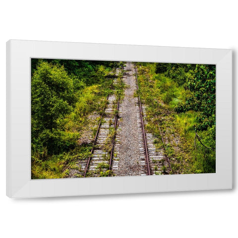 Overgrowth  White Modern Wood Framed Art Print by Malone, Will