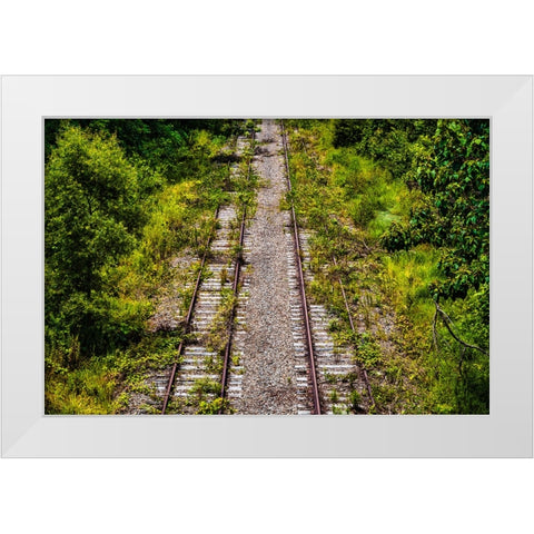 Overgrowth  White Modern Wood Framed Art Print by Malone, Will