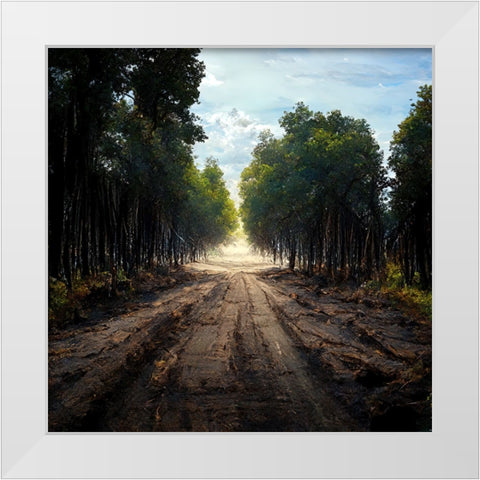 Road in the Woods 10 White Modern Wood Framed Art Print by Screendoor
