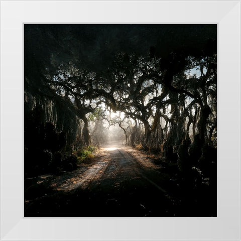 Road in the Woods 3 White Modern Wood Framed Art Print by Screendoor
