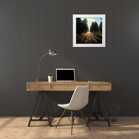 Road in the Woods 5 White Modern Wood Framed Art Print by Screendoor