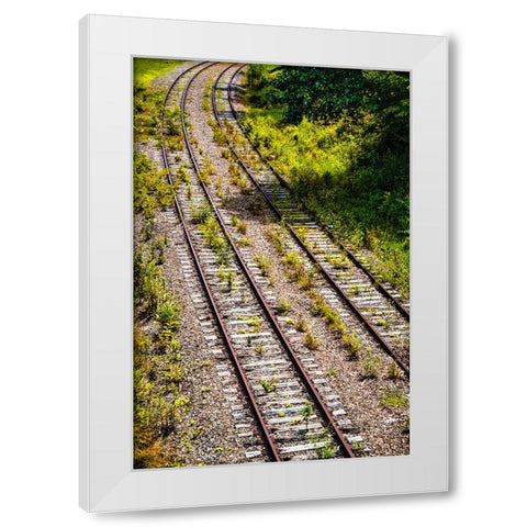 Saluda Tracks Curve  White Modern Wood Framed Art Print by Malone, Will